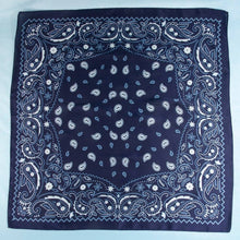 Load image into Gallery viewer, Bandana Paisley Print Satin Square Scarf: BK