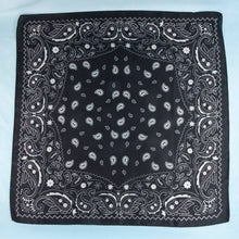 Load image into Gallery viewer, Bandana Paisley Print Satin Square Scarf: BK