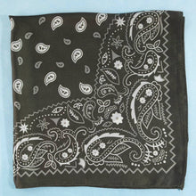 Load image into Gallery viewer, Bandana Paisley Print Satin Square Scarf: BK