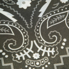 Load image into Gallery viewer, Bandana Paisley Print Satin Square Scarf: BK