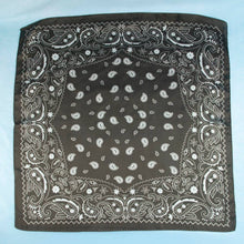 Load image into Gallery viewer, Bandana Paisley Print Satin Square Scarf: BR