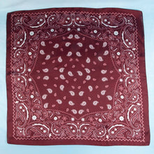 Load image into Gallery viewer, Bandana Paisley Print Satin Square Scarf: BR