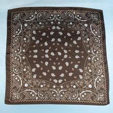 Load image into Gallery viewer, Bandana Paisley Print Satin Square Scarf: BK